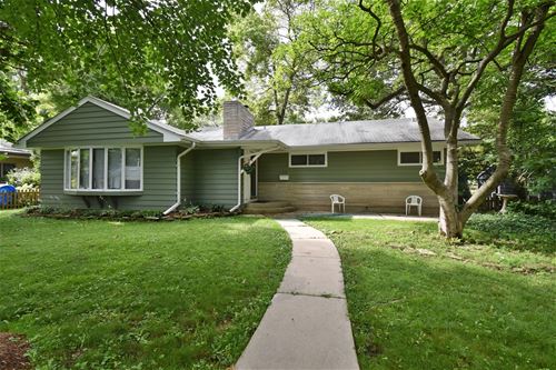 228 Woodward, Geneva, IL 60134