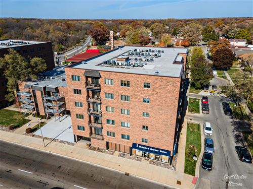 7904 W North Unit 507, Elmwood Park, IL 60707