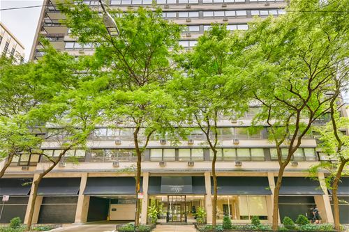 33 E Cedar Unit 8A, Chicago, IL 60611