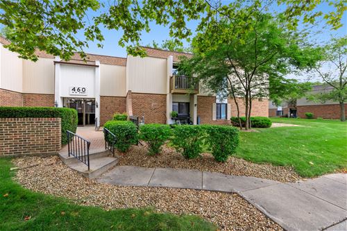 460 74th Unit 102, Downers Grove, IL 60516