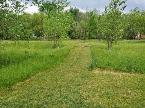 Lot 5 W Schlosser, Wadsworth, IL 60083