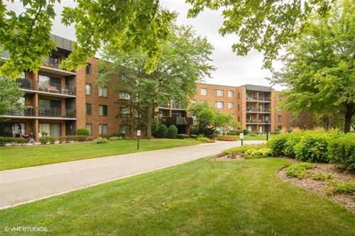 950 E Wilmette Unit 417, Palatine, IL 60074