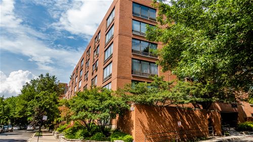 1169 S Plymouth Unit 117, Chicago, IL 60605