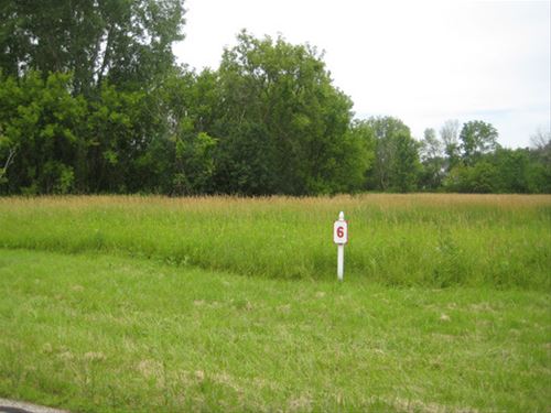 Lot 6 W Schlosser, Wadsworth, IL 60083