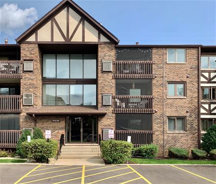 10355 Menard Unit 223, Oak Lawn, IL 60453