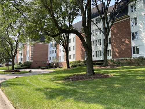 175 Lake Unit 315, Buffalo Grove, IL 60089