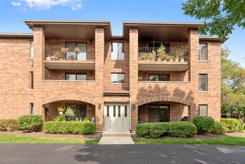 463 Valley Unit 203, Naperville, IL 60563