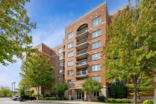 390 S Western Unit 409, Des Plaines, IL 60016