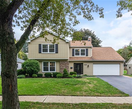 928 Royal Blackheath, Naperville, IL 60563