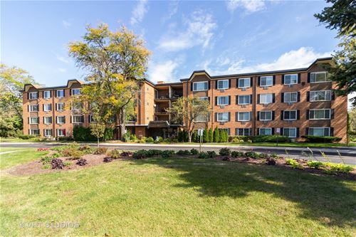 1207 S Old Wilke Unit 10-306, Arlington Heights, IL 60005