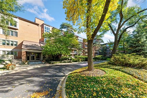 22 Park Unit 306, Park Ridge, IL 60068