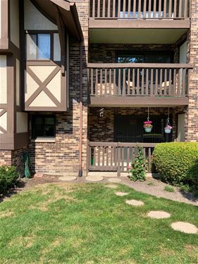 527 Cumnor Unit 102, Westmont, IL 60559