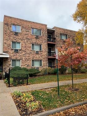 430 Home Unit 304S, Oak Park, IL 60302