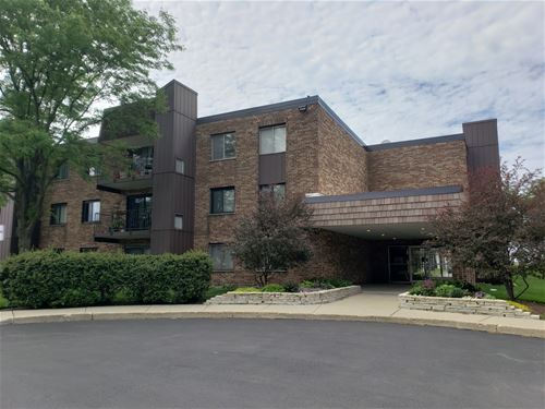 522 E Algonquin Unit 306, Schaumburg, IL 60173