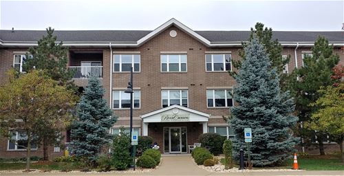 10 N Gilbert Unit 316, South Elgin, IL 60177