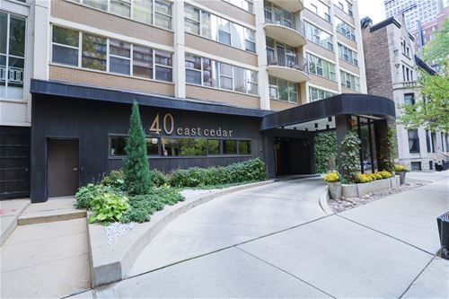 40 E Cedar Unit 22W, Chicago, IL 60611