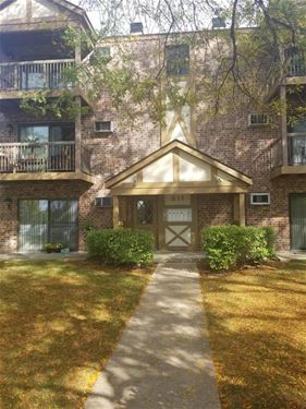 811 S Dwyer Unit E, Arlington Heights, IL 60005