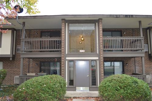 560 Somerset Unit 4, Crystal Lake, IL 60014