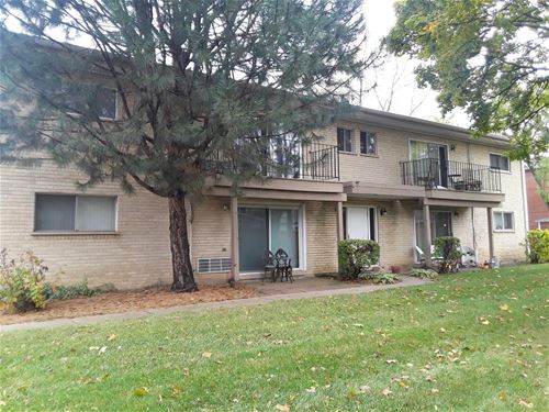 19 E Palatine Unit 1C, Arlington Heights, IL 60004