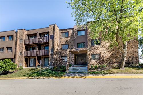 1150 E Randville Unit 1B, Palatine, IL 60074