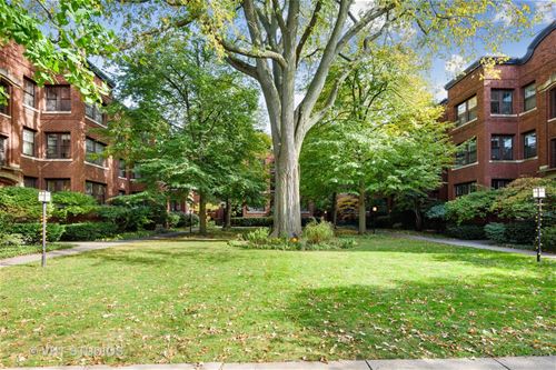 1133 Maple Unit 1E, Evanston, IL 60202