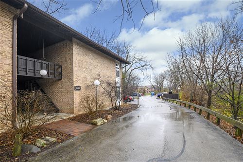 5523 E Lake Unit D, Lisle, IL 60532