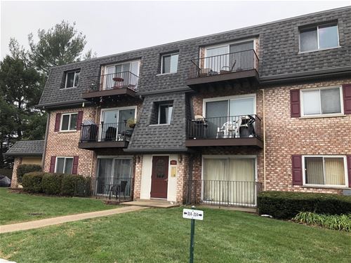 900 S Plum Grove Unit 116, Palatine, IL 60067