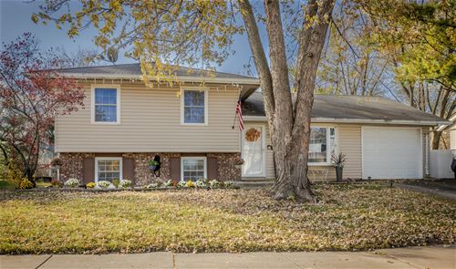 640 Springfield, Roselle, IL 60172