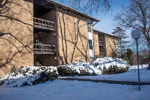 5543 E Lake Unit D, Lisle, IL 60532