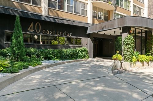 40 E Cedar Unit 8CD, Chicago, IL 60611