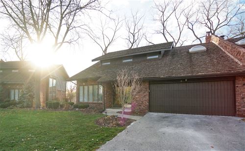 4 Lucas Unit 4, Palos Hills, IL 60465