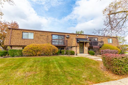 11608 Roberts Unit 1, Mokena, IL 60448