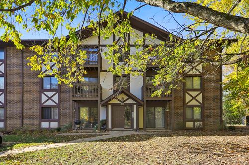 506 Taylor Unit E, Glen Ellyn, IL 60137