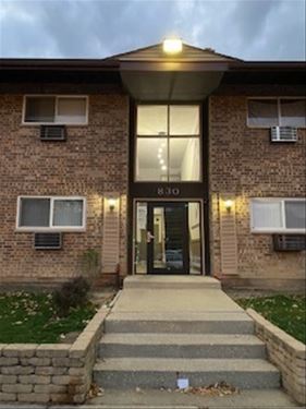 830 E Old Willow Unit 204, Prospect Heights, IL 60070