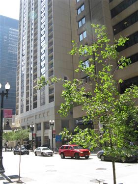 200 N Dearborn Unit 4106, Chicago, IL 60601