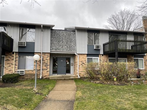 938 E Old Willow Unit 102, Prospect Heights, IL 60070