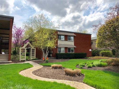 607 W Park Unit 204, Libertyville, IL 60048