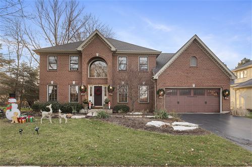 2719 Seiler, Naperville, IL 60565