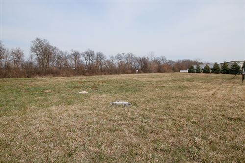 Lot 3 Stone, New Lenox, IL 60451