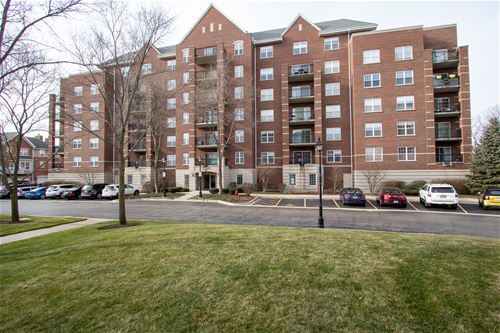 470 W Mahogany Unit 503, Palatine, IL 60067