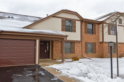 1232 Plum Tree Unit B2, Schaumburg, IL 60193