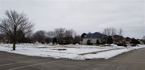 12836 Shelly, Plainfield, IL 60585
