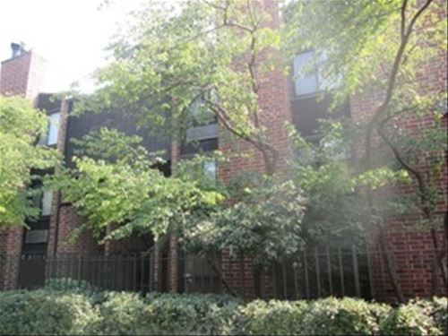 2225 N Halsted Unit 3, Chicago, IL 60614