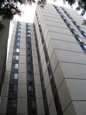 1339 N Dearborn Unit 4-E, Chicago, IL 60610