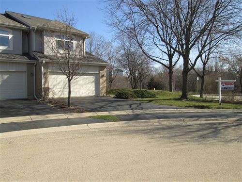 1030 Angela, Schaumburg, IL 60173