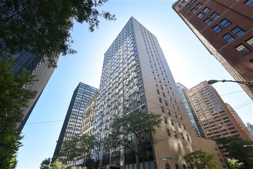 253 E Delaware Unit 10E, Chicago, IL 60611