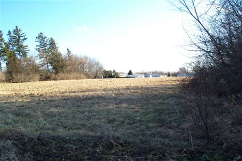 4.71 AC W Grant, Marengo, IL 60152