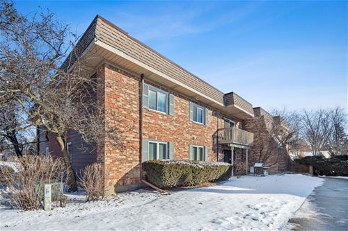 6S010 Steeple Run Unit 2-C, Naperville, IL 60540