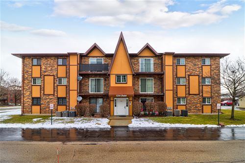 1234 Chalet Unit 101, Naperville, IL 60563