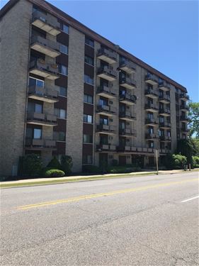 850 Des Plaines Unit 308, Forest Park, IL 60130